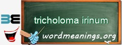 WordMeaning blackboard for tricholoma irinum